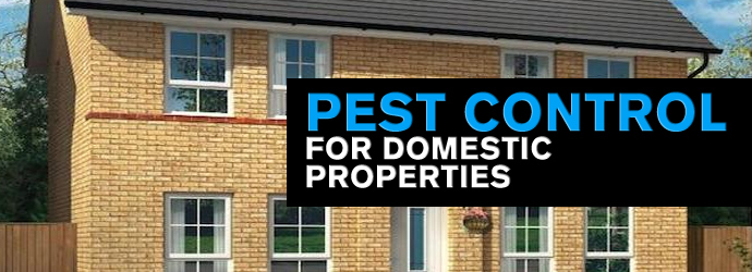 domestic pest control